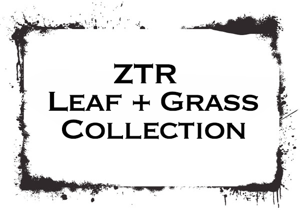 ZTR-Collection-Survey
